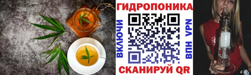 OMG ONION  Ильский  Еда ТГК конопля 